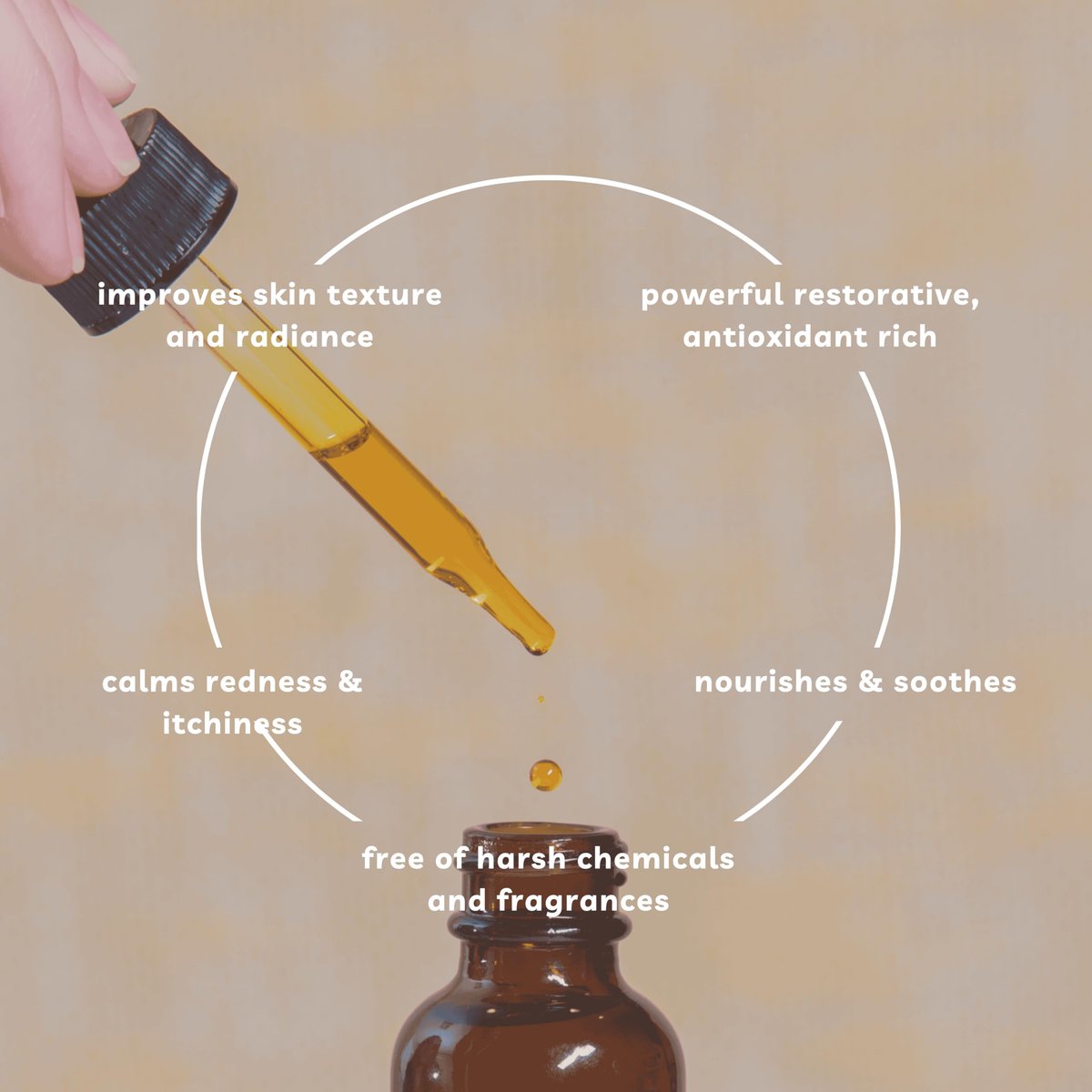 Offernova Organic Rosa de Mosqueta Oil - USDA Certified Rosehip Seed Oil, Cold Pressed, 1 oz Avelisse