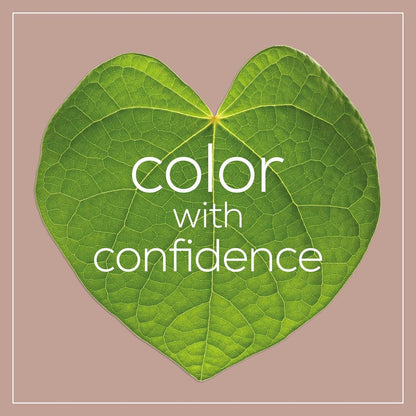 Naturtint Hair Color 6N Dark Blonde - Permanent Plant-Based Hair Dye, 5.28 oz