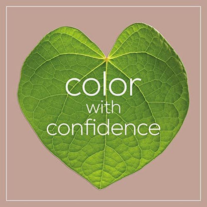 Naturtint Hair Color 6N Dark Blonde - Permanent Plant-Based Hair Dye, 5.28 oz