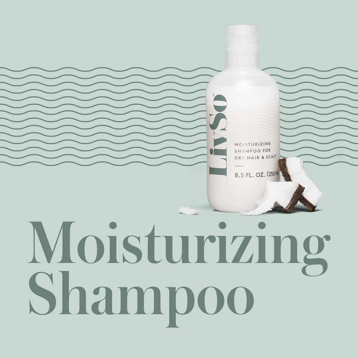 LivSo Moisturizing Scalp Shampoo - 8.5 Fl Oz - Naturally Derived Formula for Dry Hair & Scalp Avelisse