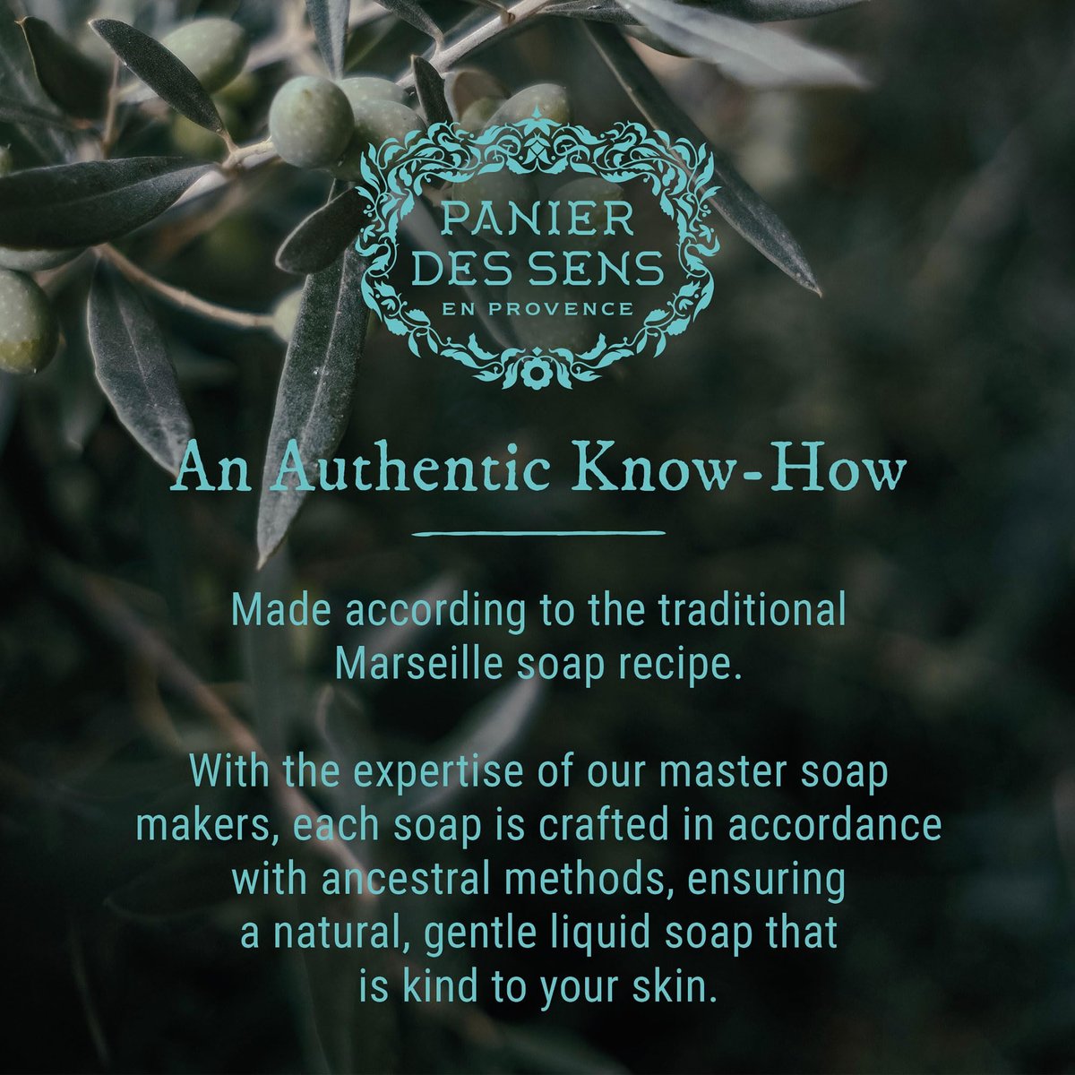 Panier des Sens Jasmine Liquid Hand Soap – French Savon de Marseille, 97% Natural Ingredients, Gentle & Moisturizing Hand Wash, 16.9 fl oz Avelisse