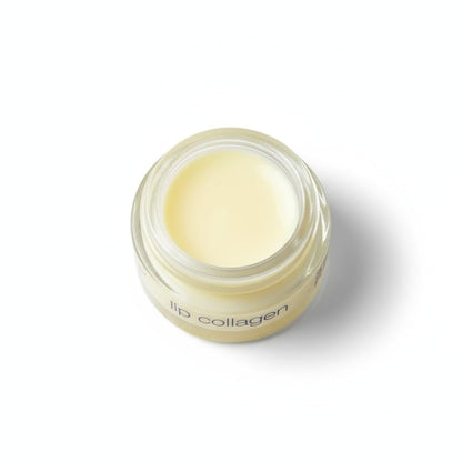 Somaluxe Lip Collagen + Peptide Complex – Hydrating Lip Balm, 0.25 oz (7.4 ml) Avelisse