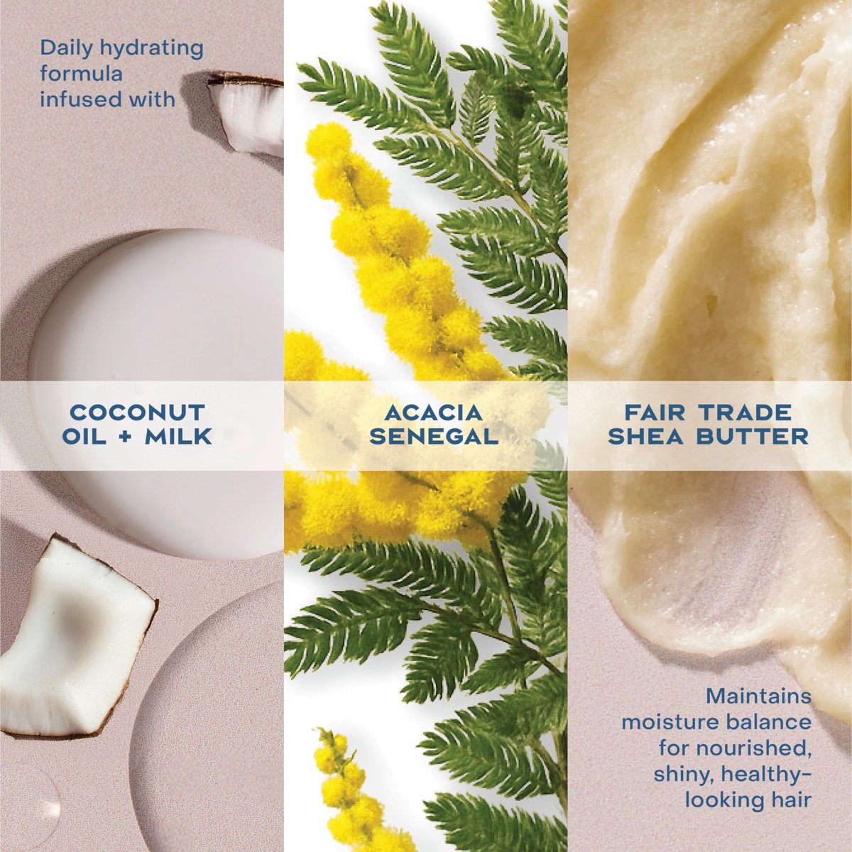 Shea Moisture Daily Hydrating Conditioner with Virgin Coconut Oil, Sulfate-Free, 13 oz - For All Hair Types - görsel 12