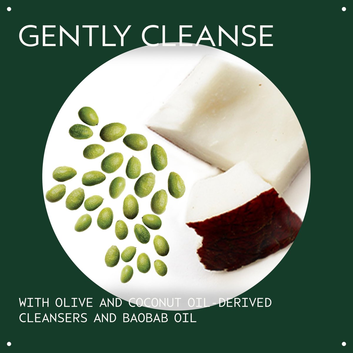 Aveda Botanical Kinetics All-Sensitive Cleaner – Gentle Fragrance-Free Facial Cleanser for Sensitive Skin, 5.0 fl oz - görsel 5