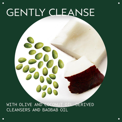 Aveda Botanical Kinetics All-Sensitive Cleaner – Gentle Fragrance-Free Facial Cleanser for Sensitive Skin, 5.0 fl oz