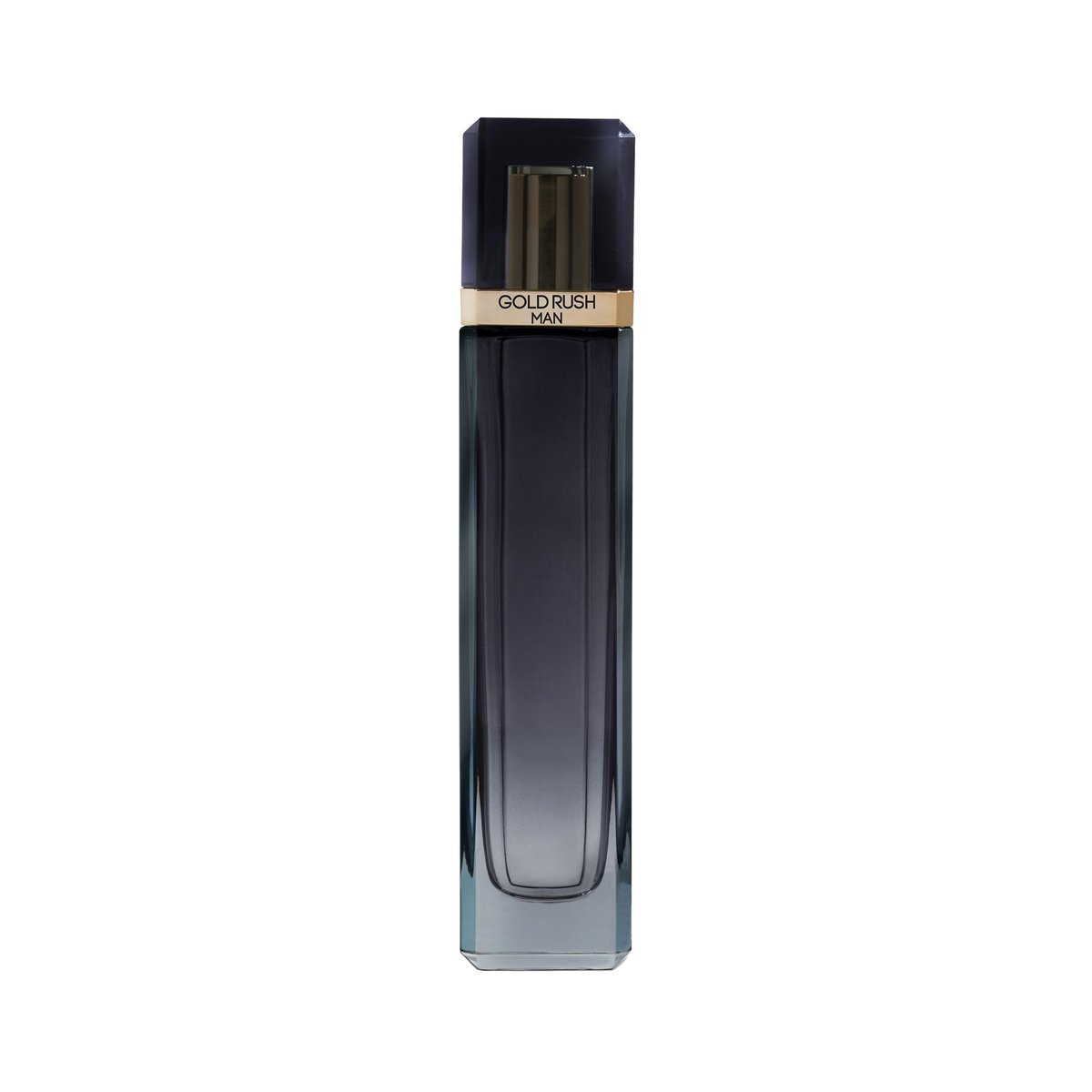 Gold Rush Man For Men 3.4 Fl Oz EDT Spray by Paris Hilton Avelisse