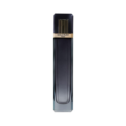 Gold Rush Man For Men 3.4 Fl Oz EDT Spray by Paris Hilton Avelisse