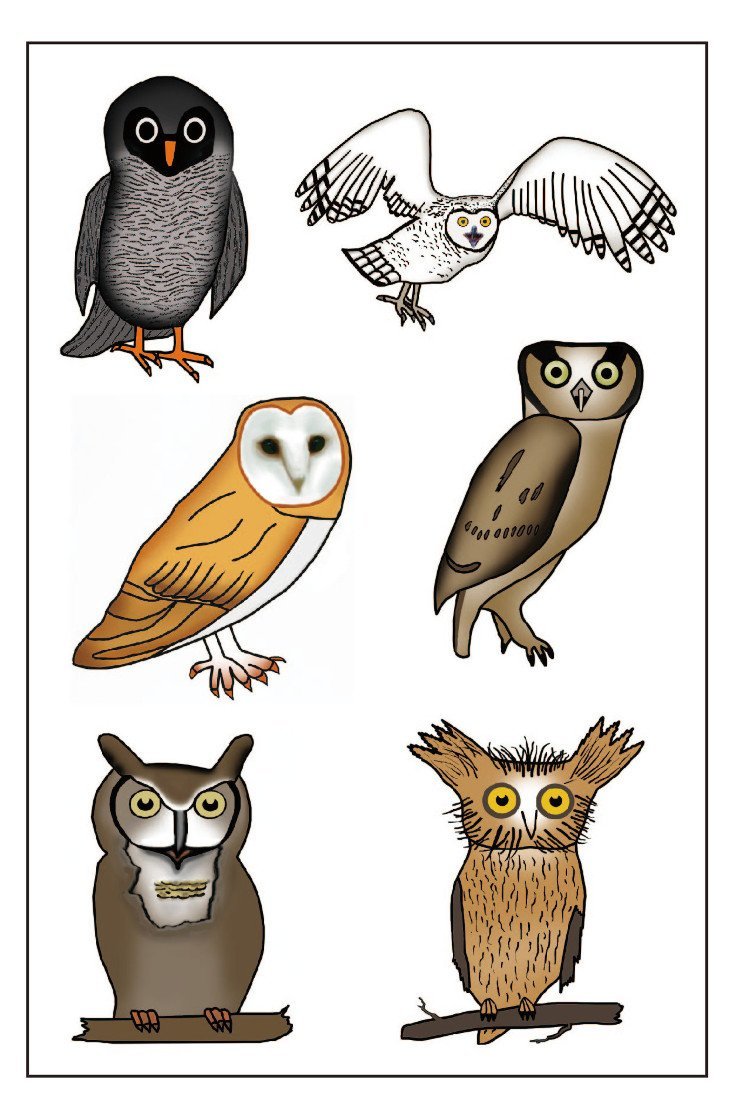 Premium Owl Temporary Tattoos – Party Favors for Kids & Adults - görsel 1