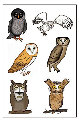 Premium Owl Temporary Tattoos – Party Favors for Kids & Adults - görsel 2