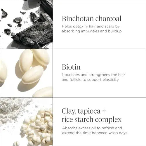 Briogeo Scalp Revival Charcoal + Biotin Dry Shampoo | Non-Aerosol Powder for Oily Roots | Detoxifying & Volumizing | Vegan & Cruelty-Free | 1.7 oz Avelisse