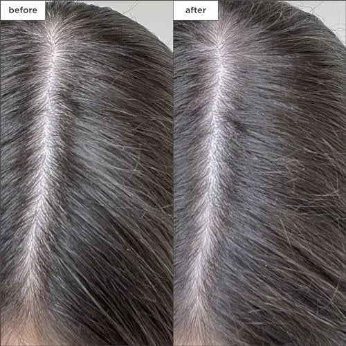 Briogeo Scalp Revival Charcoal + Biotin Dry Shampoo | Non-Aerosol Powder for Oily Roots | Detoxifying & Volumizing | Vegan & Cruelty-Free | 1.7 oz Avelisse