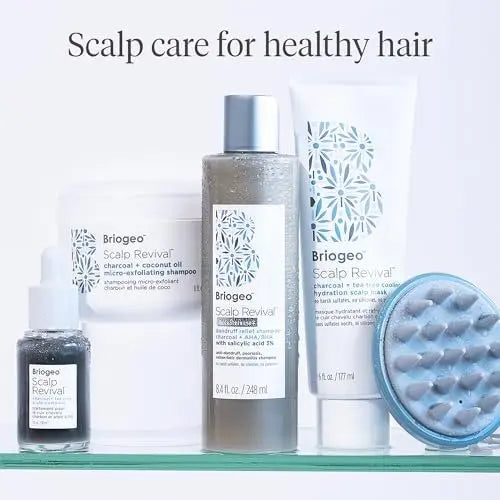 Briogeo Scalp Revival Charcoal + Biotin Dry Shampoo | Non-Aerosol Powder for Oily Roots | Detoxifying & Volumizing | Vegan & Cruelty-Free | 1.7 oz Avelisse