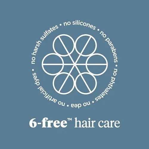 Briogeo Scalp Revival Charcoal + Biotin Dry Shampoo | Non-Aerosol Powder for Oily Roots | Detoxifying & Volumizing | Vegan & Cruelty-Free | 1.7 oz Avelisse