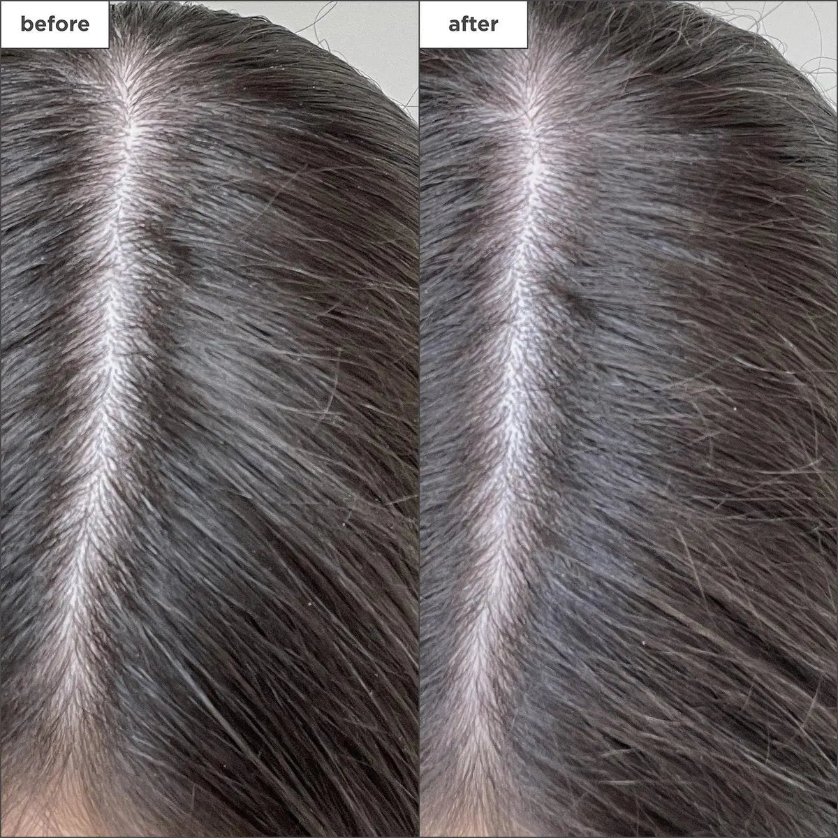 Briogeo Scalp Revival Charcoal + Biotin Dry Shampoo | Non-Aerosol Powder for Oily Roots | Detoxifying & Volumizing | Vegan & Cruelty-Free | 1.7 oz Avelisse