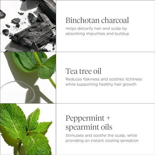 Briogeo Scalp Revival Charcoal + Tea Tree Scalp Treatment - Leave-In Serum for Dry, Flaky, or Itchy Scalp - Hydrating & Balancing - Vegan & Cruelty Free - 1 oz Avelisse