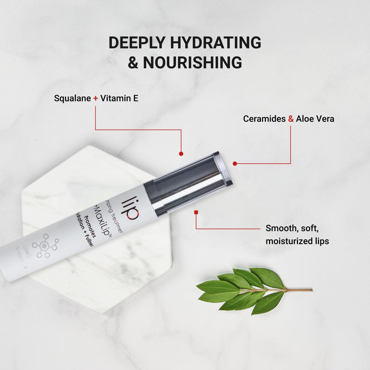 LifeCell Lip Plumping Treatment – Glossy Balm with MaxiLip Peptides for Fuller, Smoother Lips – Hydrating, Non-Irritating, Fragrance-Free Lip Care Avelisse