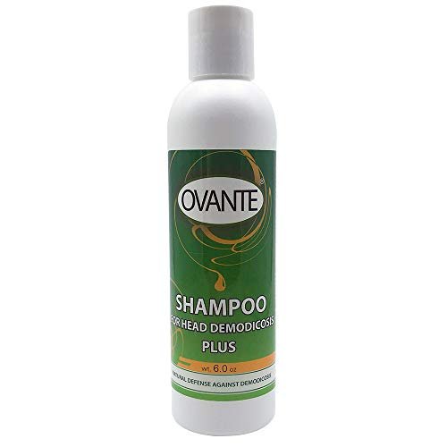 OVANTE Demodex Control Shampoo for Humans | Extra Strength - 6.0 oz Avelisse