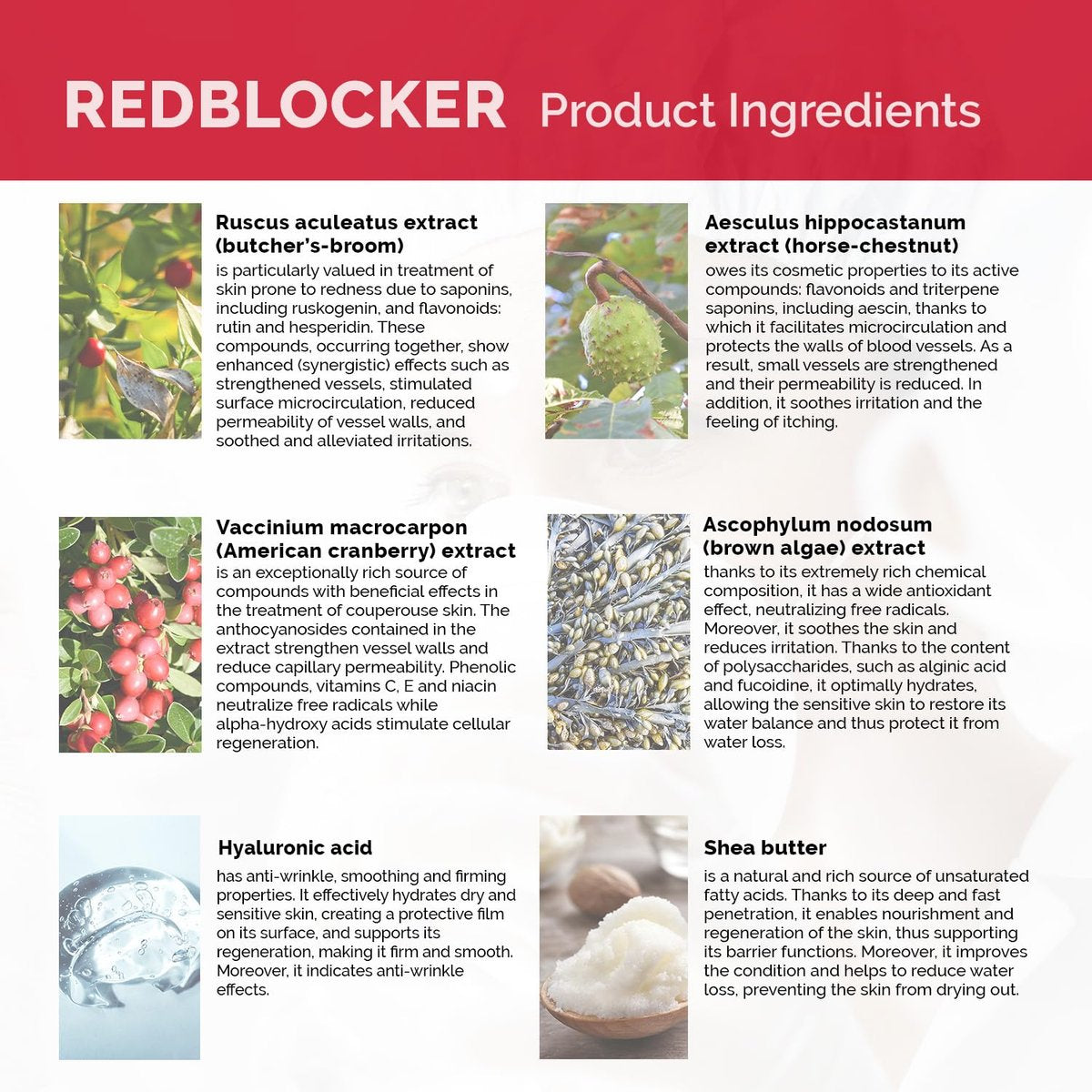 Redblocker Day Cream - Specialist Dermocosmetic for Spider Veins and Capillaries with Horse Chestnut, Ruscus, Cranberry Extracts, SPF 15 - 50 ml - görsel 3