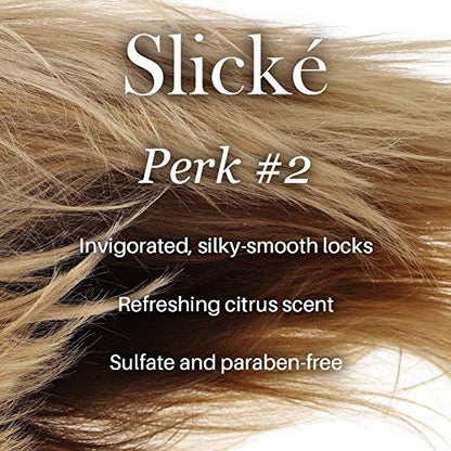 L'ANGE HAIR Slické Blowout Hair Conditioner - Volumizing, Paraben-Free & Sulfate-Free Conditioner for Color Treated Hair, 8 Fl Oz Avelisse