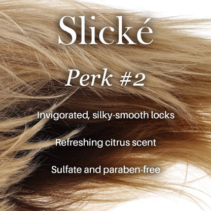 L'ANGE HAIR Slické Blowout Hair Conditioner - Volumizing, Paraben-Free & Sulfate-Free Conditioner for Color Treated Hair, 8 Fl Oz Avelisse