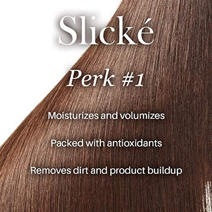 L'ANGE HAIR Slické Blowout Hair Conditioner - Volumizing, Paraben-Free & Sulfate-Free Conditioner for Color Treated Hair, 8 Fl Oz Avelisse