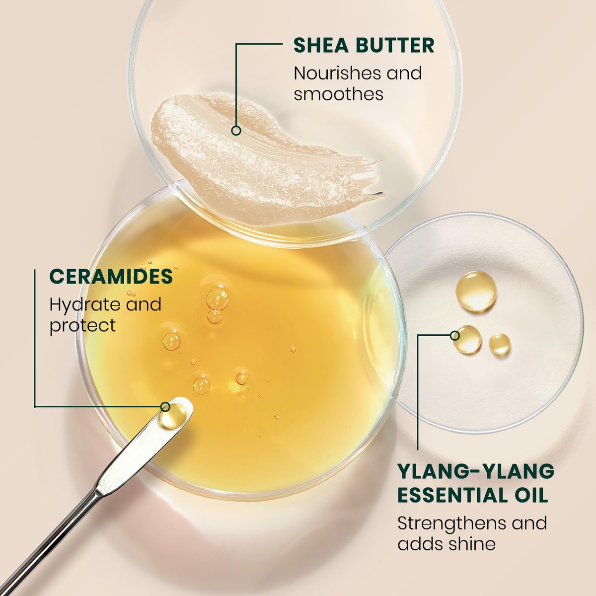 René Furterer Sublime Karité Professional Smoothing Milk - Shea Butter, Ylang-Ylang Essential Oil & Ceramides, 3.3 fl oz - görsel 7