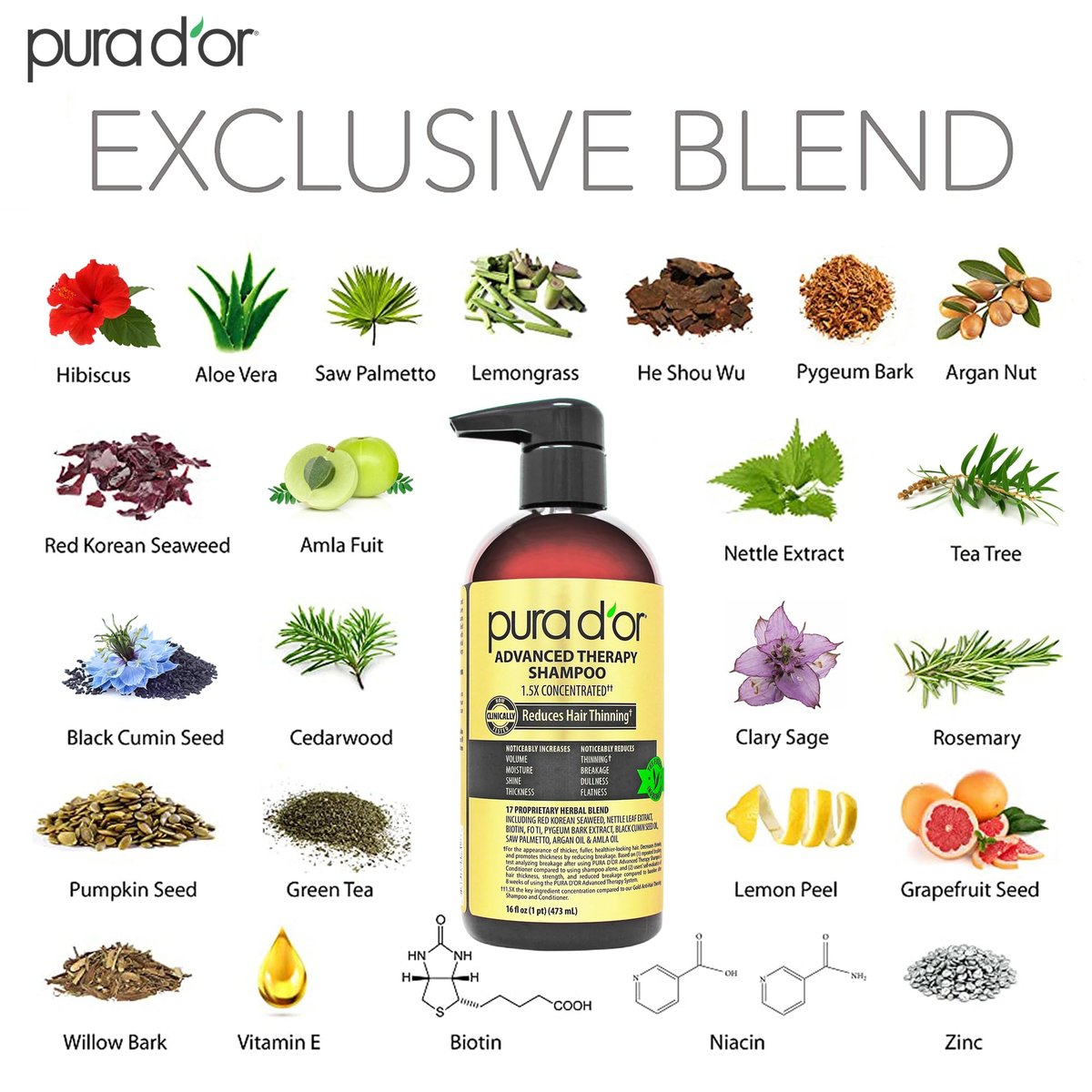 PURA D'OR Advanced Therapy Shampoo 16 oz - Reduces Hair Thinning & Increases Volume, Biotin & Argan Oil Infused, Sulfate-Free for All Hair Types Avelisse