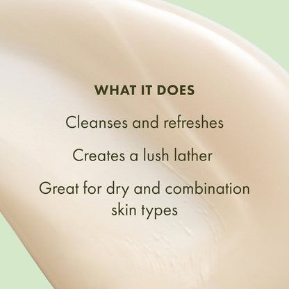 Origins A Perfect World Antioxidant Cleanser for Dry and Combination Skin, with White Tea & Glycerin, 5 Fl Oz Avelisse