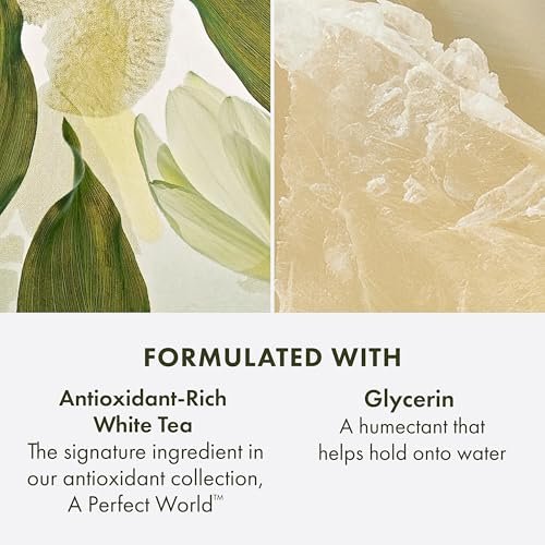 Origins A Perfect World Antioxidant Cleanser for Dry and Combination Skin, with White Tea & Glycerin, 5 Fl Oz Avelisse