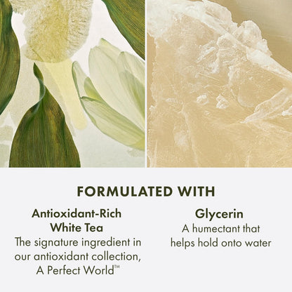 Origins A Perfect World Antioxidant Cleanser for Dry and Combination Skin, with White Tea & Glycerin, 5 Fl Oz Avelisse