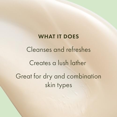 Origins A Perfect World Antioxidant Cleanser for Dry and Combination Skin, with White Tea & Glycerin, 5 Fl Oz Avelisse