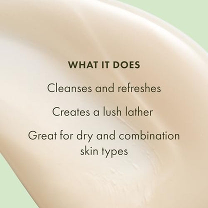 Origins A Perfect World Antioxidant Cleanser for Dry and Combination Skin, with White Tea & Glycerin, 5 Fl Oz Avelisse