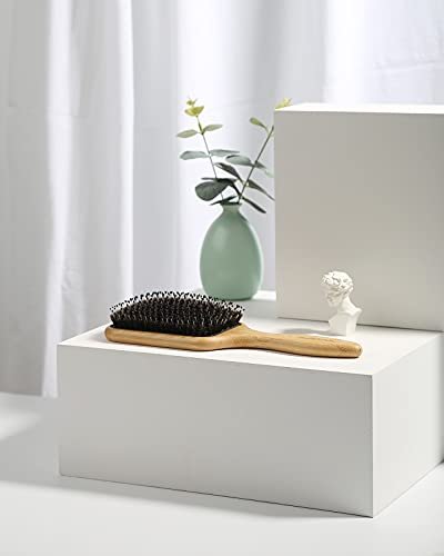 BESTOOL Hair Brush – Boar & Nylon Bristle Brush for All Hair Types (Women, Men, Kids) – Wet/Dry Use – Enhances Shine & Health – Square, Black - görsel 16