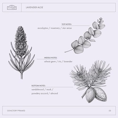 A LA MAISON Lavender Aloe French Liquid Hand Soap - Natural Hand Wash Made with Essential Oils - Biodegradable, Plant-Based, Vegan, Cruelty-Free, Alcohol & Paraben Free (16.9 oz, 2 Pack) Avelisse