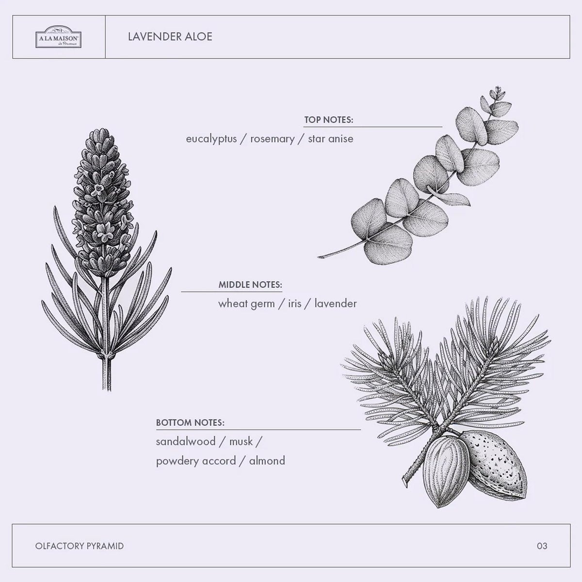 A LA MAISON Lavender Aloe French Liquid Hand Soap - Natural Hand Wash Made with Essential Oils - Biodegradable, Plant-Based, Vegan, Cruelty-Free, Alcohol & Paraben Free (16.9 oz, 2 Pack) Avelisse