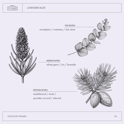 A LA MAISON Lavender Aloe French Liquid Hand Soap - Natural Hand Wash Made with Essential Oils - Biodegradable, Plant-Based, Vegan, Cruelty-Free, Alcohol & Paraben Free (16.9 oz, 2 Pack) Avelisse