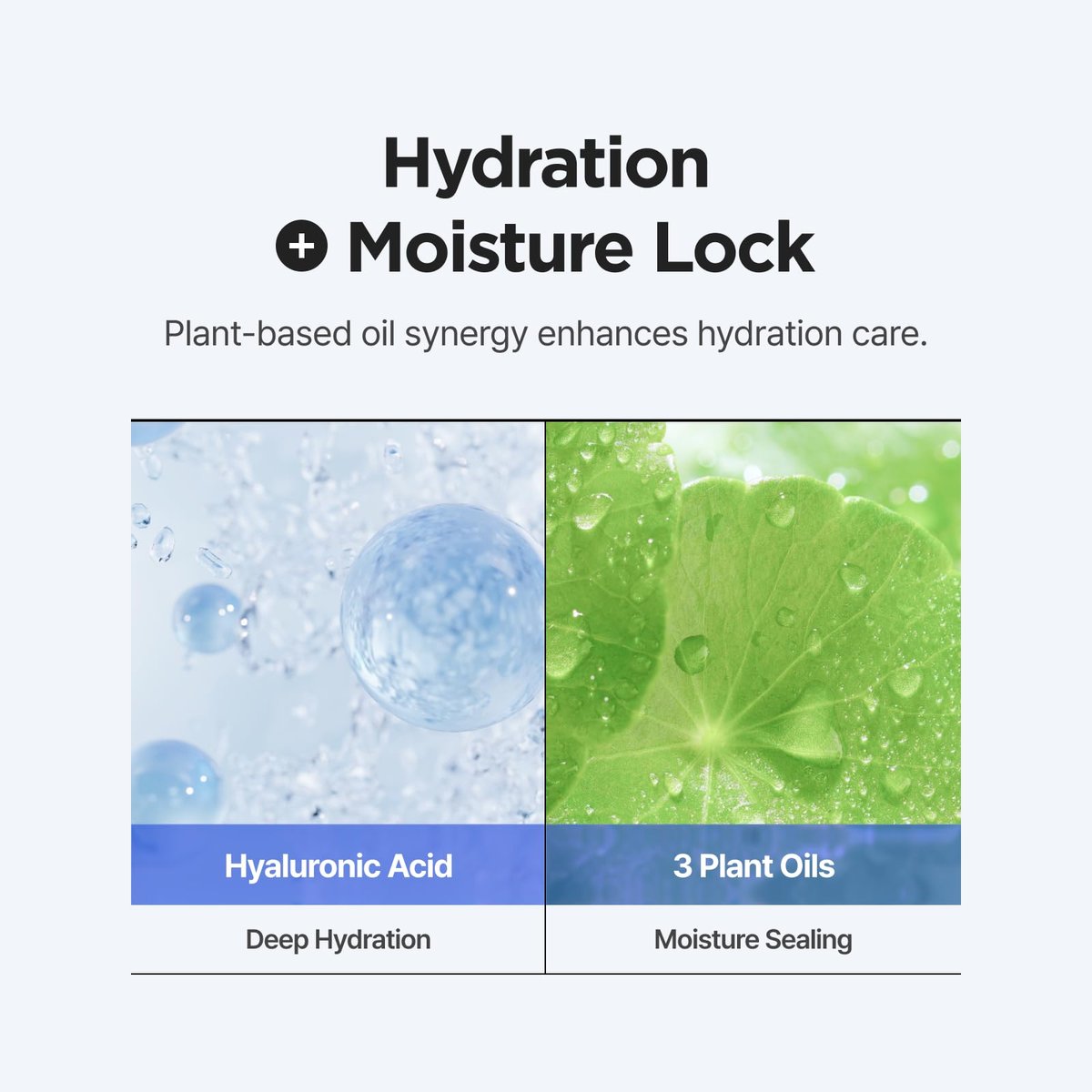 ISNTREE Hyaluronic Acid Moist Cream 100ml - Deep Hydration Face Moisturizer for Dry Skin, Balances Oil & Moisture, Lightweight & Non-Greasy, Fragrance-Free, Korean Skincare Avelisse