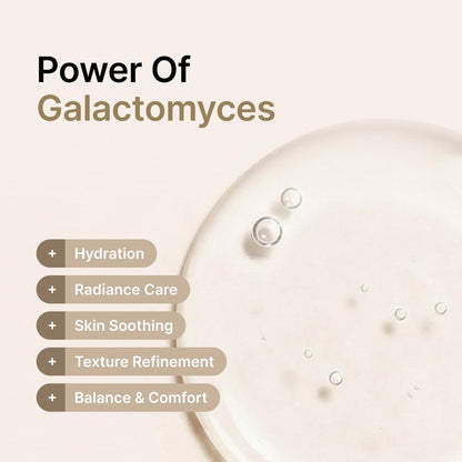 Secret Key Starting Care Essence Toner – Galactomyces Ferment Filtrate with Adenosine for Radiance Glass Skin, Hydrating Essence, Helps Improve Uneven Skin Tone, Korean Skin Care, 5.24 Fl Oz Avelisse