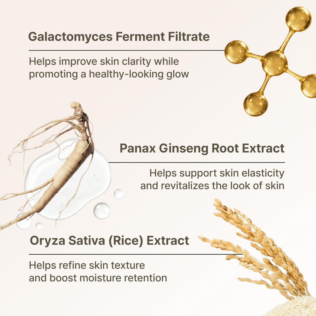 Secret Key Starting Care Essence Toner – Galactomyces Ferment Filtrate with Adenosine for Radiance Glass Skin, Hydrating Essence, Helps Improve Uneven Skin Tone, Korean Skin Care, 5.24 Fl Oz Avelisse