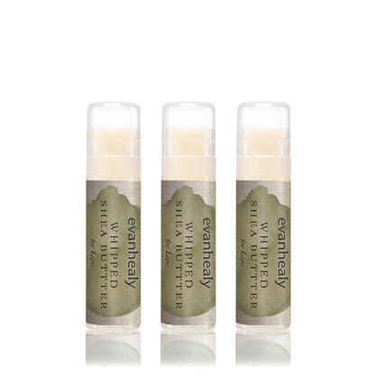 evanhealy Whipped Shea Butter for Lips (3 Pack) – Organic Red Raspberry Seed Oil, Beeswax & Argan Oil Moisturizing Lip Balm Avelisse