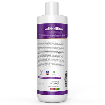 Lipogaine Big 5 Hair Stimulating Shampoo – Biotin, Caffeine, Argan Oil, Castor Oil & Saw Palmetto for Hair Thinning & Breakage – Men and Women – Purple Avelisse
