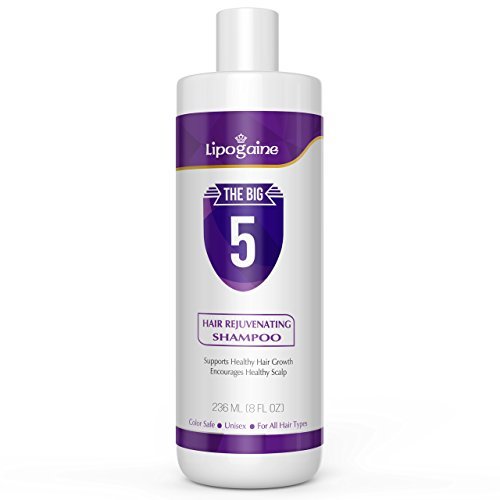 Lipogaine Big 5 Hair Stimulating Shampoo – Biotin, Caffeine, Argan Oil, Castor Oil & Saw Palmetto for Hair Thinning & Breakage – Men and Women – Purple Avelisse
