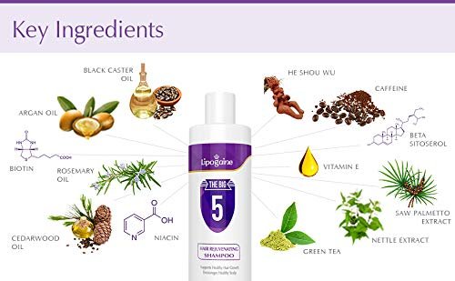 Lipogaine Big 5 Hair Stimulating Shampoo – Biotin, Caffeine, Argan Oil, Castor Oil & Saw Palmetto for Hair Thinning & Breakage – Men and Women – Purple Avelisse