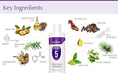 Lipogaine Big 5 Hair Stimulating Shampoo – Biotin, Caffeine, Argan Oil, Castor Oil & Saw Palmetto for Hair Thinning & Breakage – Men and Women – Purple Avelisse