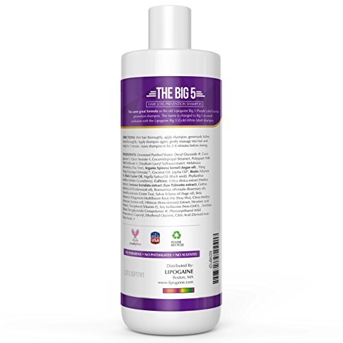 Lipogaine Big 5 Hair Stimulating Shampoo – Biotin, Caffeine, Argan Oil, Castor Oil & Saw Palmetto for Hair Thinning & Breakage – Men and Women – Purple Avelisse