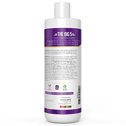 Lipogaine Big 5 Hair Stimulating Shampoo – Biotin, Caffeine, Argan Oil, Castor Oil & Saw Palmetto for Hair Thinning & Breakage – Men and Women – Purple Avelisse