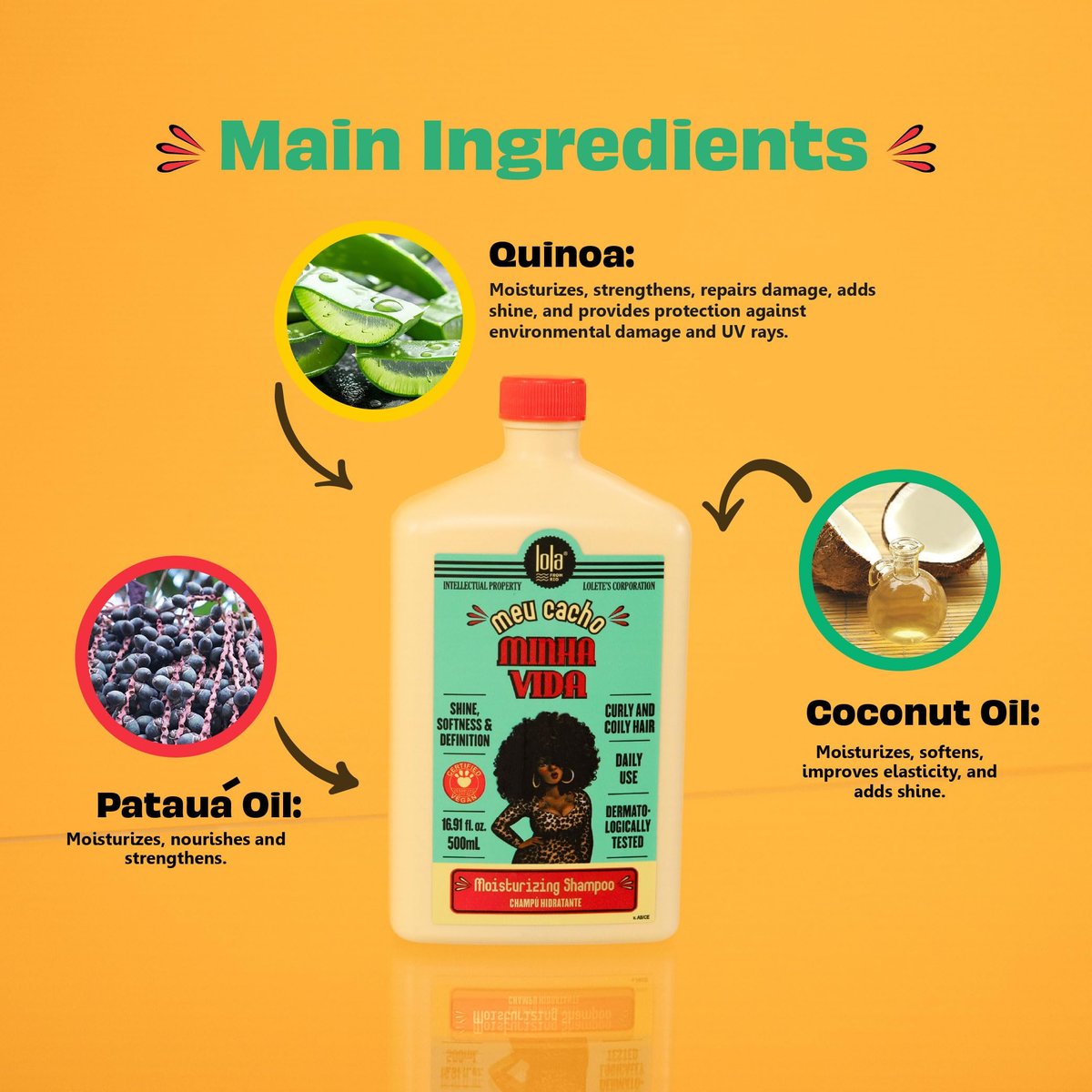 Lola From Rio Meu Cacho Minha Vida Hydrating Shampoo for Defined, Soft, Vibrant Curls - Nourishing, Moisturizing, Paraben & Sulfate-Free - 16.9 Fl Oz Avelisse