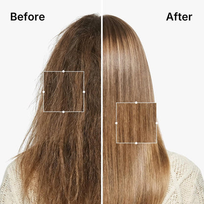 Karseell Argan Oil Shampoo - Moisturizing Deep Repair for Dry & Damaged Hair, 16.9 Fl Oz