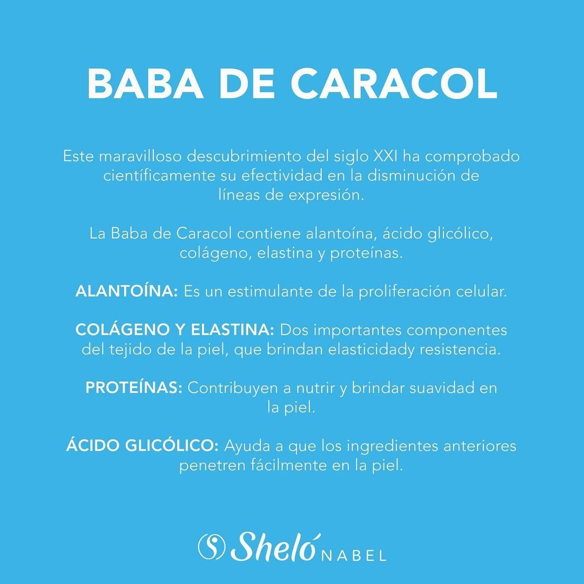 Sheló NABEL Baba de Caracol Snail Cream Face Moisturizer - 9.3 Fl Oz Avelisse