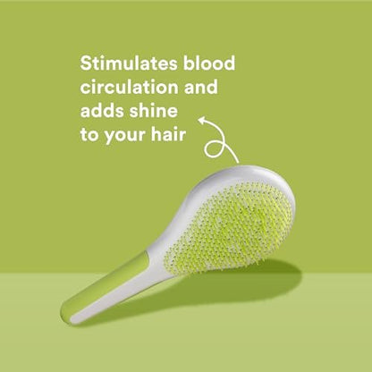 Michel Mercier Wet and Dry Hair Detangler - Soft Bristles Brush for Healthy, Shiny Hair - Green/White - Normal Hair